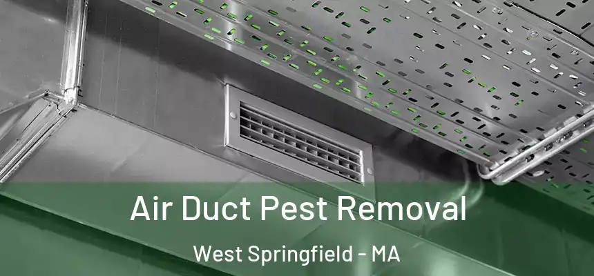  Air Duct Pest Removal West Springfield - MA