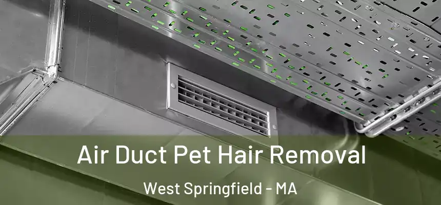 Air Duct Pet Hair Removal West Springfield - MA