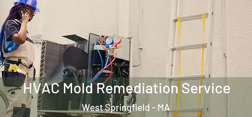  HVAC Mold Remediation Service West Springfield - MA