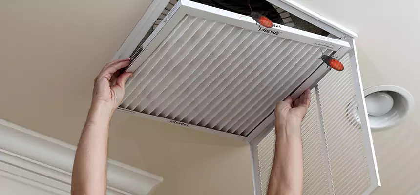Preventive Cockroach-Proofing for Ducts in West Springfield