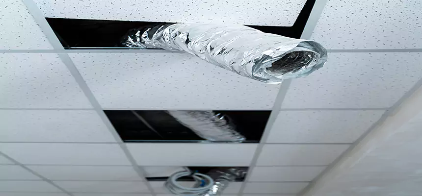 Affordable HVAC Sanitizing After Pest Removal in West Springfield