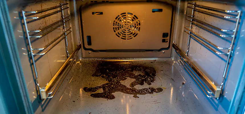 Our Dryer Vent Mold Cleaning Services in West Springfield, MA