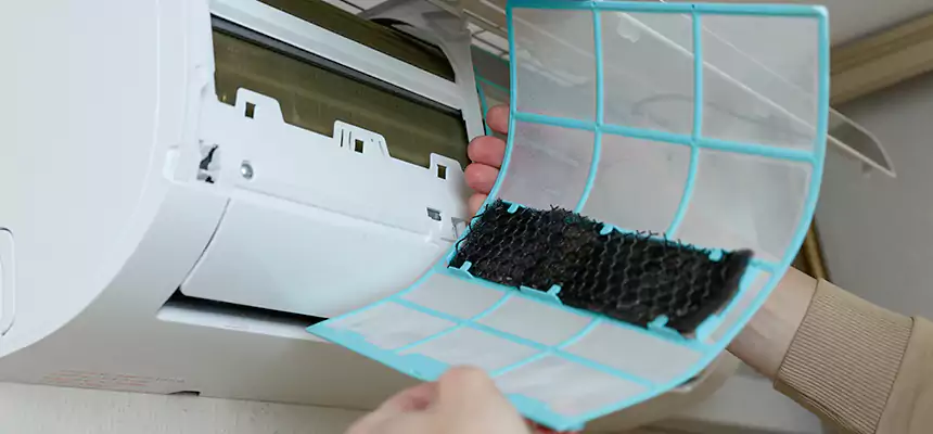 Gentle Ductwork Odor-Control Pet Dander Duct Cleaning in West Springfield, MA