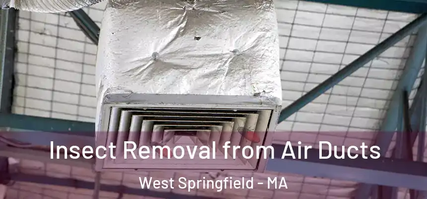  Insect Removal from Air Ducts West Springfield - MA