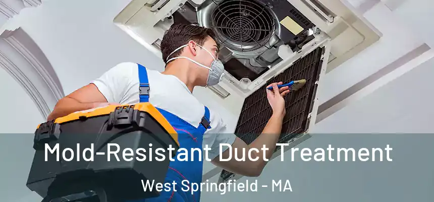  Mold-Resistant Duct Treatment West Springfield - MA