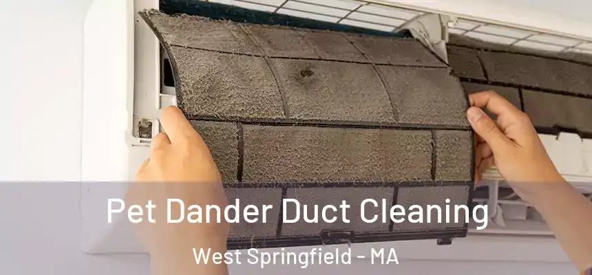 Pet Dander Duct Cleaning West Springfield - MA