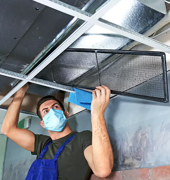 About Air Duct Bacteria Removal in West Springfield