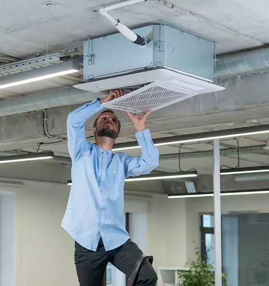 Advanced Rodent Droppings In Vents in West Springfield, MA