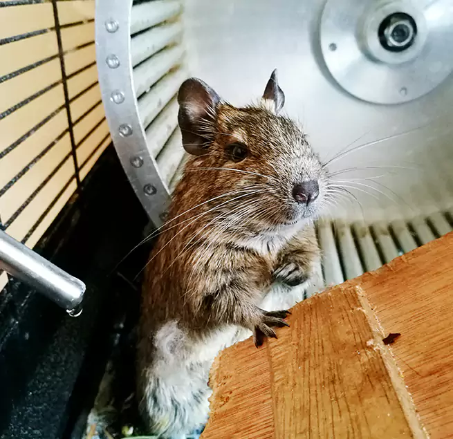 Why Homeowners & Businesses Trust Us West Springfield, MA