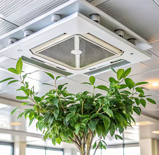 Why Homeowners & Businesses Trust Us in West Springfield, MA